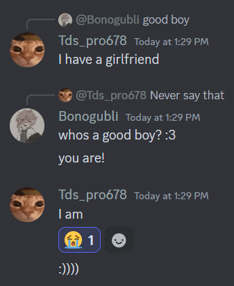 a screenshot of a discord conversation between bonogubli and tds pro 678
