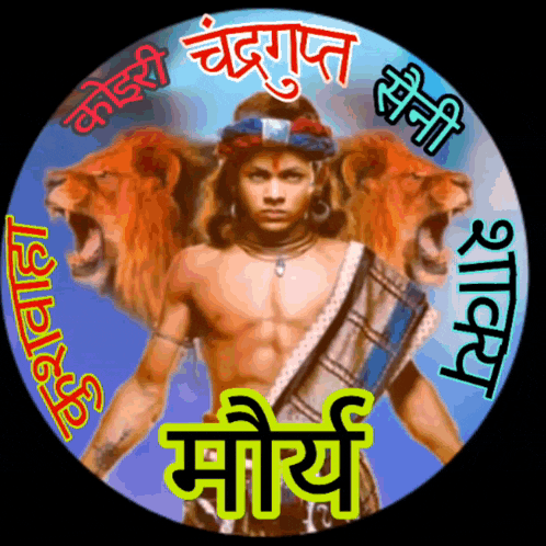 Kushwaha Maurya GIF - Kushwaha Maurya Saini GIFs
