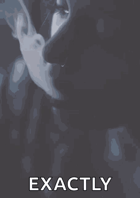 a close up of a person 's face with the words exactly written below it