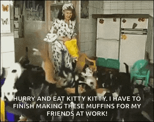 a woman is feeding a bunch of cats in a kitchen and the caption says hurry and eat kitty kitty