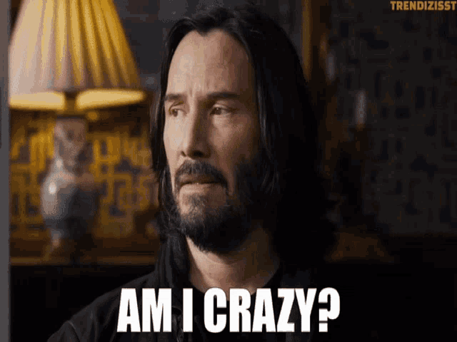 a man with long hair and a beard is asking am i crazy