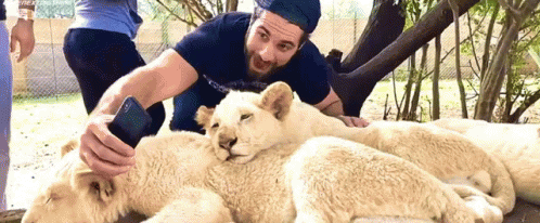 Seth Rollins Selfie GIF - Seth Rollins Selfie Lion Cub GIFs