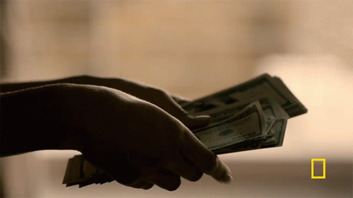 Counting Money National Geographic GIF - Counting Money National Geographic Meth Smuggling Model GIFs