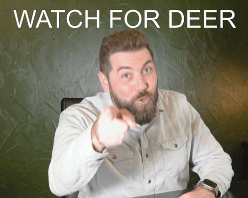 Watch For Deer Jesse Wiser GIF - Watch For Deer Jesse Wiser Wiser Living GIFs