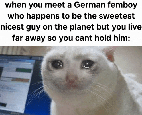 a white cat is crying while looking at a laptop screen