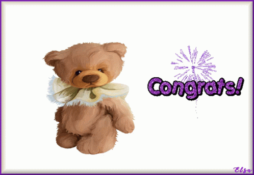 Congratulations Congratulations Wishes GIF - Congratulations Congratulations Wishes GIFs