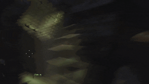 a screenshot of a video game with the words i 'm n visible