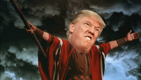Memo Angry GIF - Memo Angry Trump GIFs