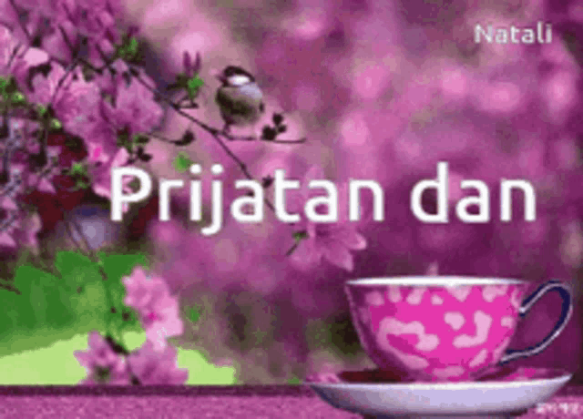 a picture of a cup and saucer with the words prijatan dan in white
