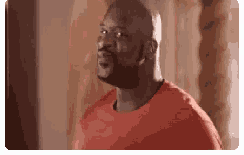 a bald man with a beard is wearing a red shirt and standing in a room .