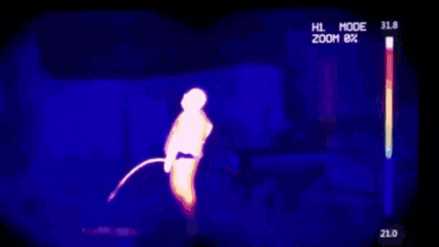 a thermal image of a person urinating shows a zoom of 8%