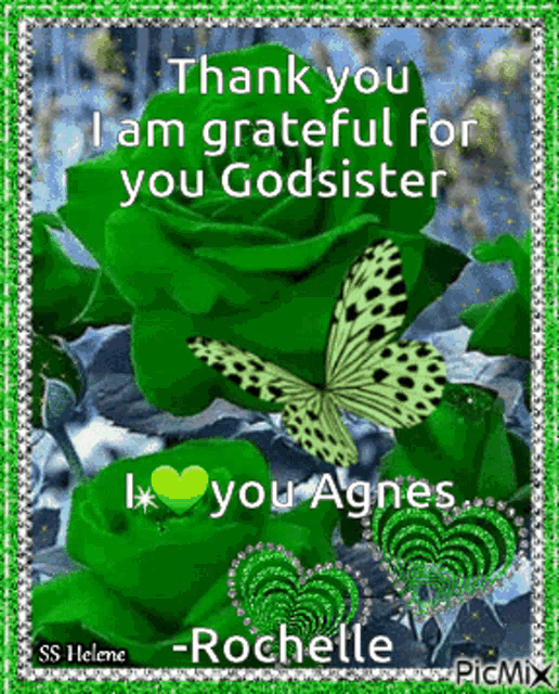 a picture of green roses and butterflies that says thank you i am grateful for you god sister by agnes