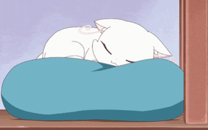 a white cat is sleeping on a blue pillow on a shelf