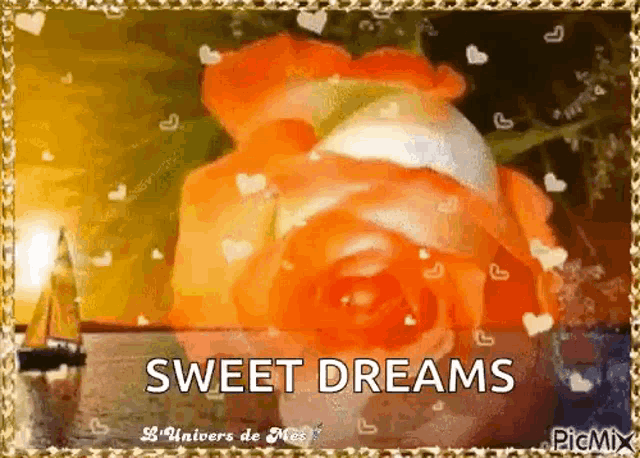 a picture of an orange rose with the words `` sweet dreams '' on it .