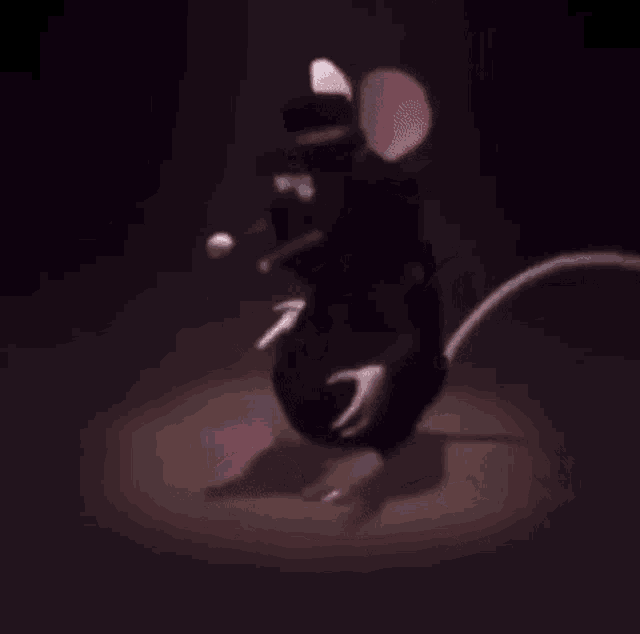 a black mouse is dancing in the dark in a spotlight .