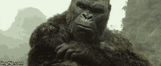 King Kong Wound GIF - King Kong Wound Gorilla GIFs