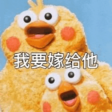 a couple of stuffed birds with big eyes are sitting next to each other and talking in chinese .