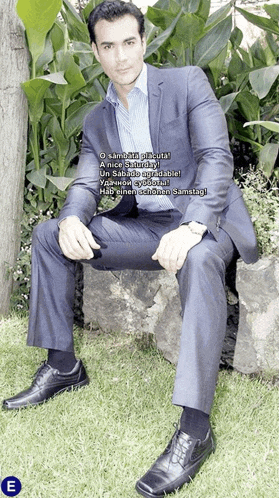 a man in a suit sits on a rock in the grass with a sticker that says e on it