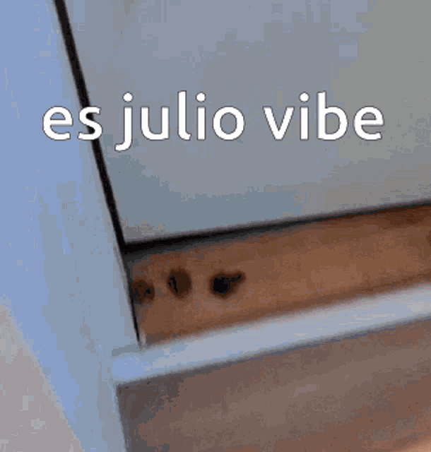 a picture of a door with the words " es julio vibe " written on it