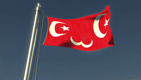 a red and white flag with a crescent moon and a star
