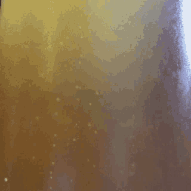 Beer Bubbles GIF - Beer Bubbles Abraxas1 GIFs