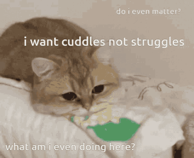 Cuddles Not Struggles What Am I Doing GIF - Cuddles Not Struggles What Am I Doing Do I Matter GIFs