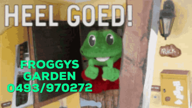a picture of a frog giving a thumbs up with the words heel goed