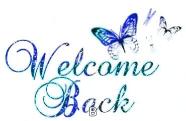 a sign that says welcome back with butterflies on it
