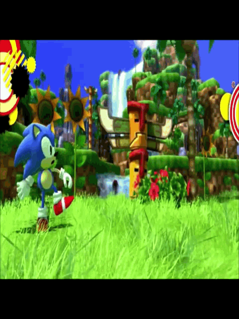 a screenshot of a video game with sonic the hedgehog playing