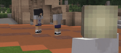a couple of minecraft characters standing in front of a wooden building