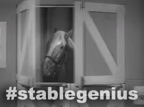 Horse Come On GIF - Horse Come On Come With Me GIFs
