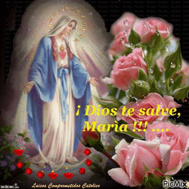 a picture of the virgin mary surrounded by pink roses with the caption dios te salve maria