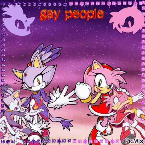 a picture of blaze the cat amy rose and sonic the hedgehog with the words gay people above them