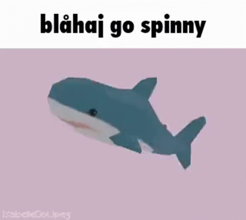 Blahaj Go Spinny Blahaj Spin GIF - Blahaj Go Spinny Blahaj Blahaj Spin GIFs
