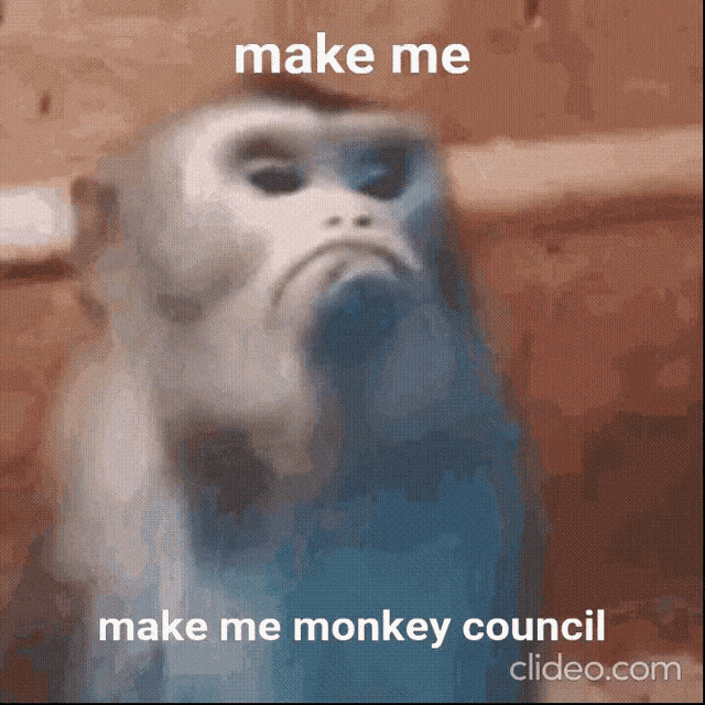 Monkey Council GIF - Monkey Council GIFs