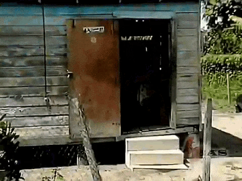 a wooden door with a sticker on it that says " a "