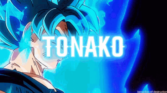 a picture of a person with the name tonako