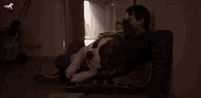a man is laying on a couch with a dog