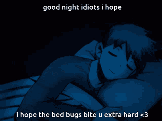 a drawing of a person sleeping with the caption good night idiots i hope i hope the bed bugs bite u extra hard