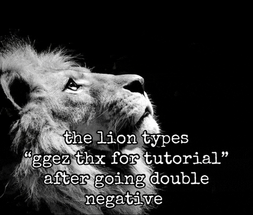 a black and white photo of a lion with the words " the lion types "