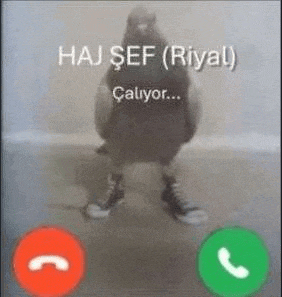 a pigeon is talking on a cell phone while wearing shoes .