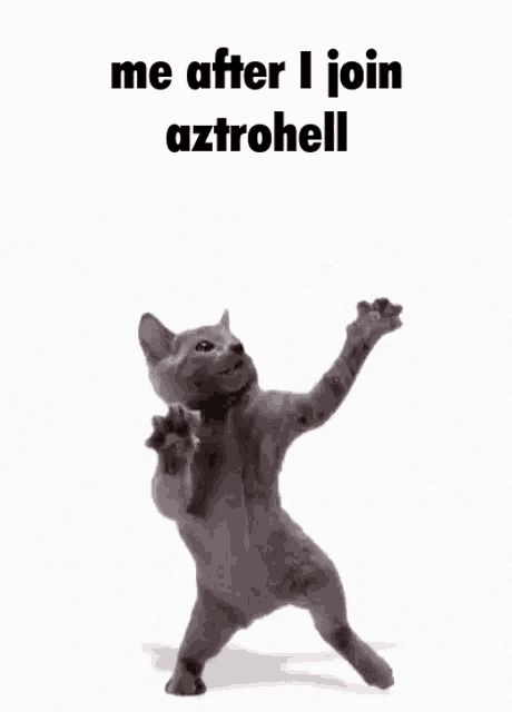 a cat is standing on its hind legs with its arms outstretched and says `` me after i join aztrohell '' .