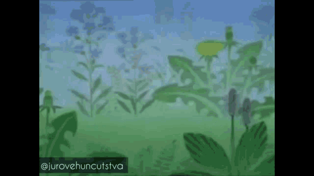 a blurry picture of a field of plants with the caption @jurovehuncuststva