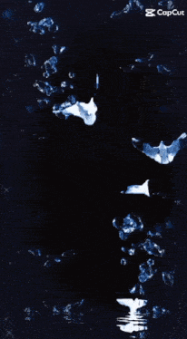 a woman 's face is surrounded by water bubbles and birds flying around her