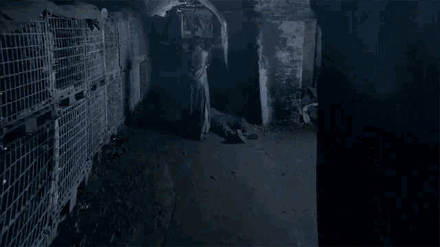 a werewolf is standing in a dark hallway surrounded by a pair of shields