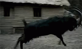 The Witch Ram GIF - The Witch Ram Jump GIFs