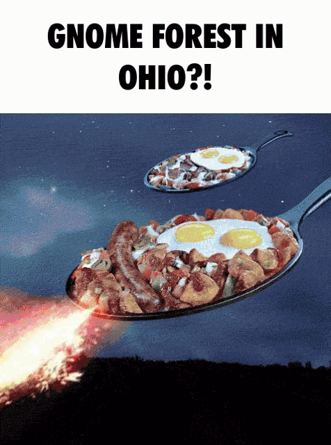 a gnome forest in ohio poster with a rocket coming out of a frying pan