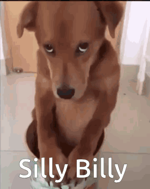 Silly Silly Billy GIF - Silly Silly Billy Dog GIFs