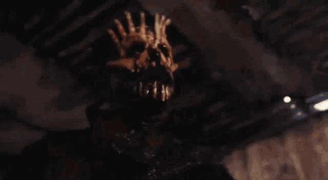 a close up of a skeleton 's face with a dark background