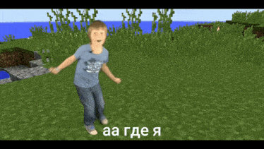 a boy in a blue shirt is standing in a grassy field in a video game